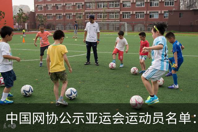 中国网协公示亚运会运动员名单：郑钦文张之臻均不参赛